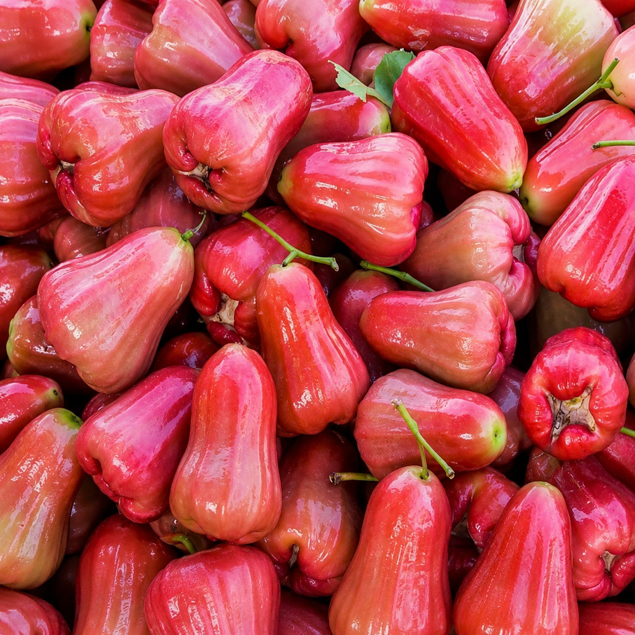 50 Pieces Of Apple Fruit Seeds For Home Garden Planting And Growing