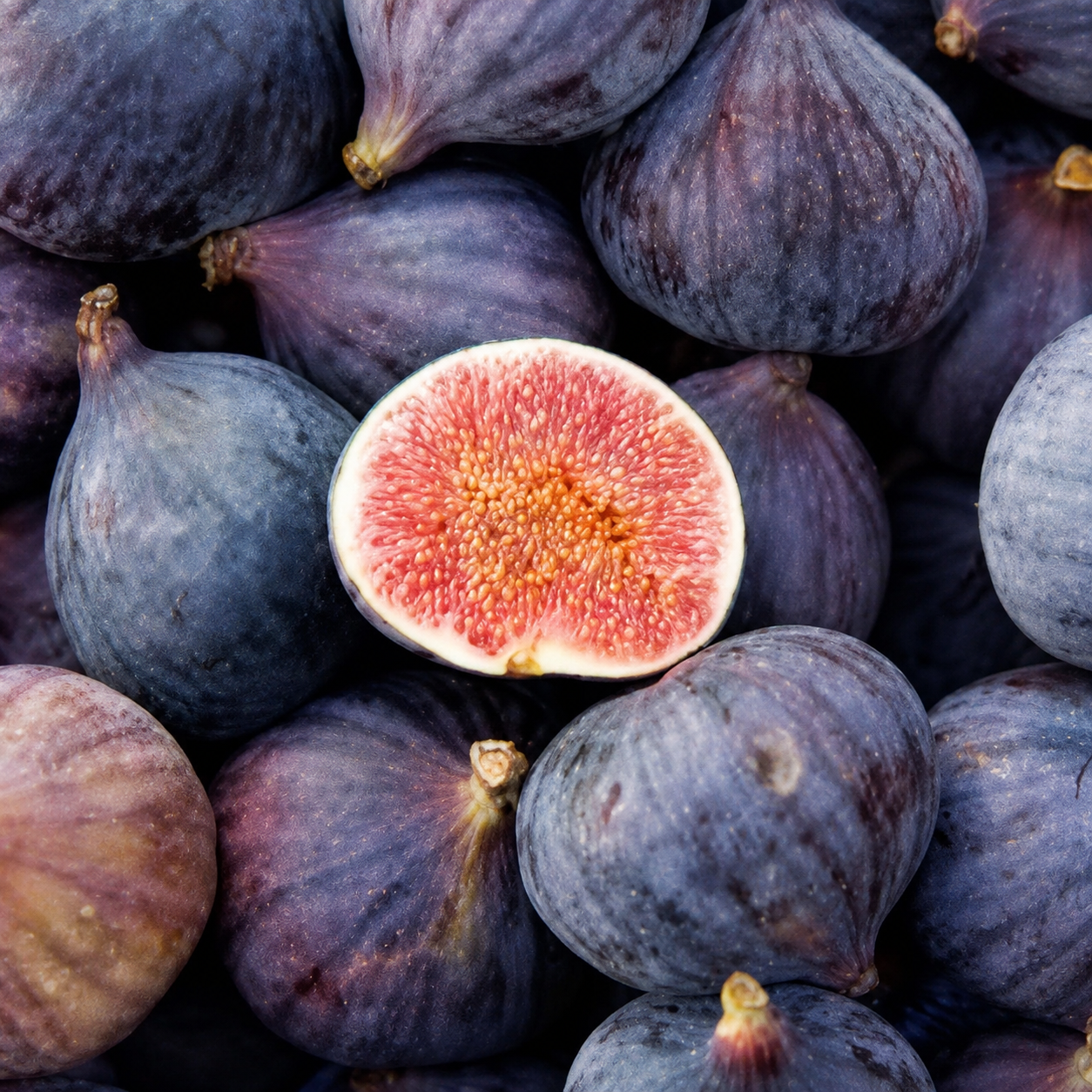 Decadent Fruit Seeds For Easy Growing