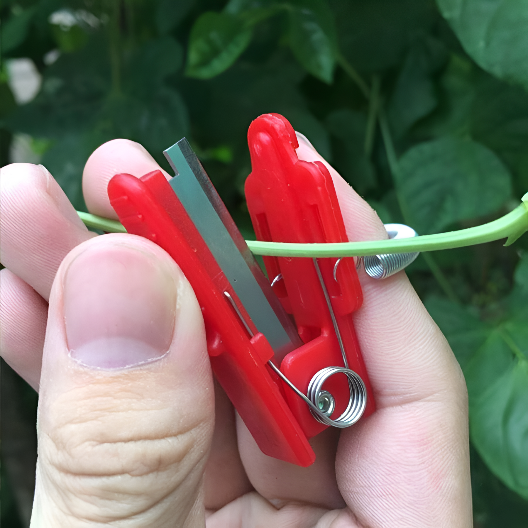 Stainless Steel Ring Knife For Picking Vegetable Harvesting