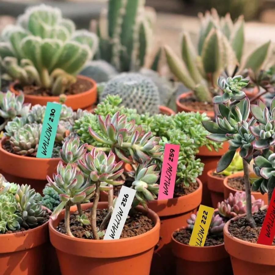 Reusable Waterproof Plant Labels And Garden Pot Markers For Flowers And Seeds