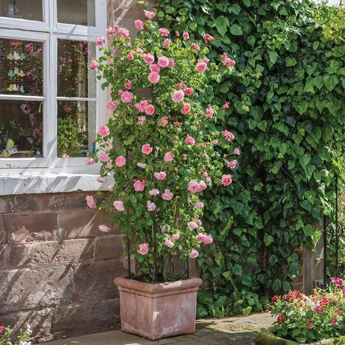 Gardening Rattan Plant Climbing Support Pole 