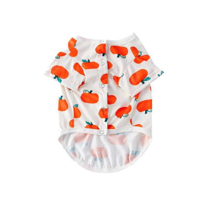 Pumpkin Fest Family Matching Sets - Grafton Collection
