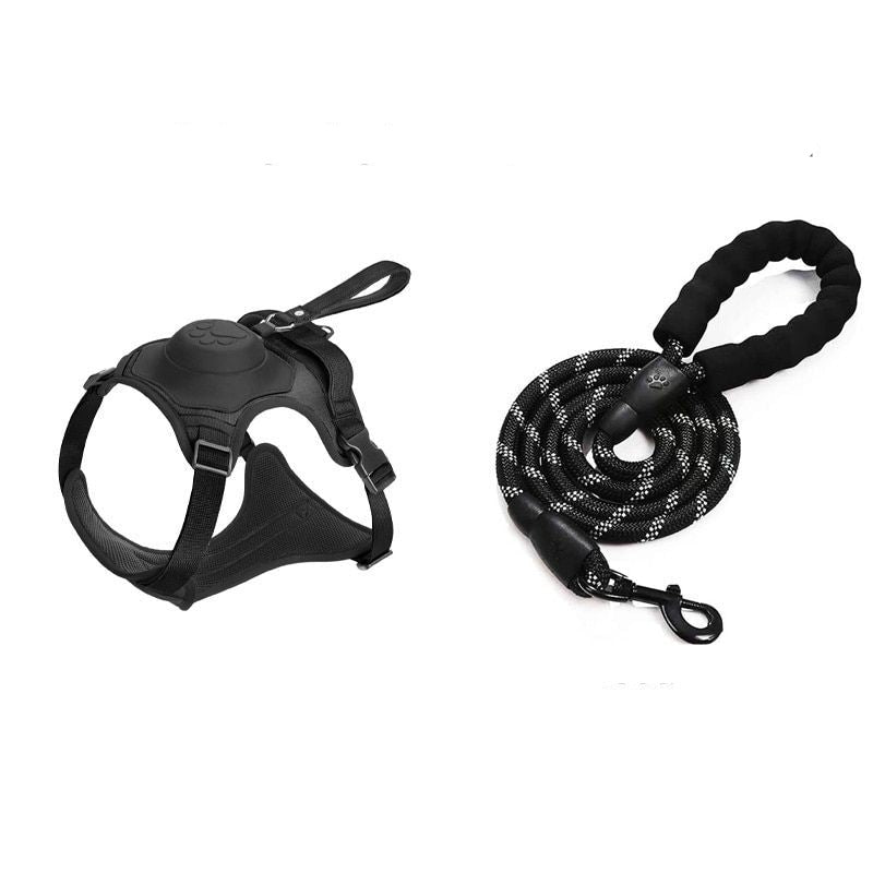 Pet Harness And Leash Set - Grafton Collection