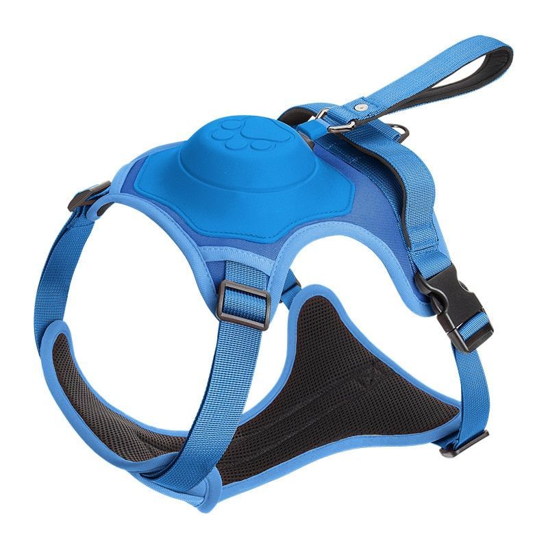 Dog Harness Set - Grafton Collection