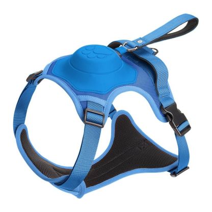 Dog Harness Set - Grafton Collection