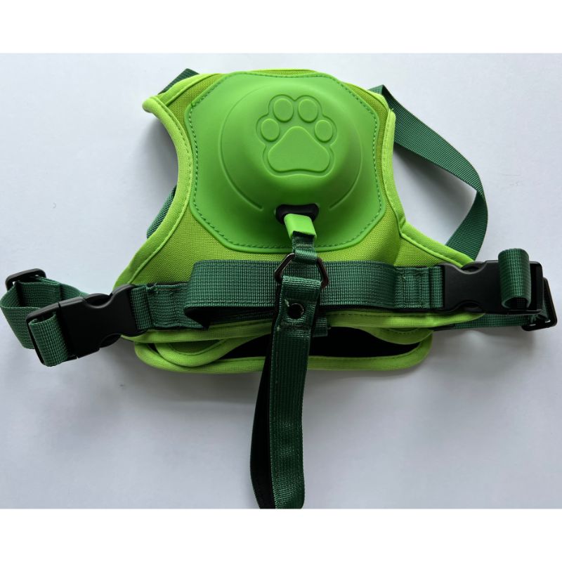 Dog Harness Set - Grafton Collection