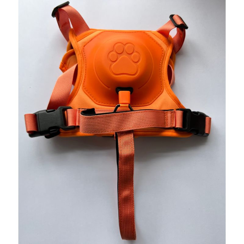 Dog Harness Set - Grafton Collection