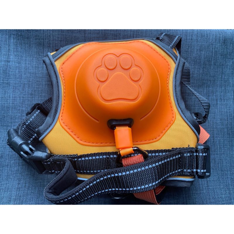 Dog Harness Set - Grafton Collection