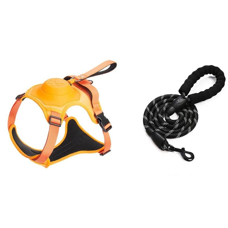 Pet Harness And Leash Set - Grafton Collection