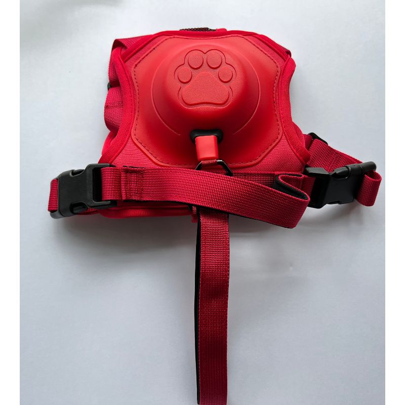 Dog Harness Set - Grafton Collection