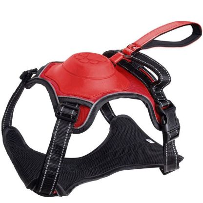 Dog Harness Set - Grafton Collection
