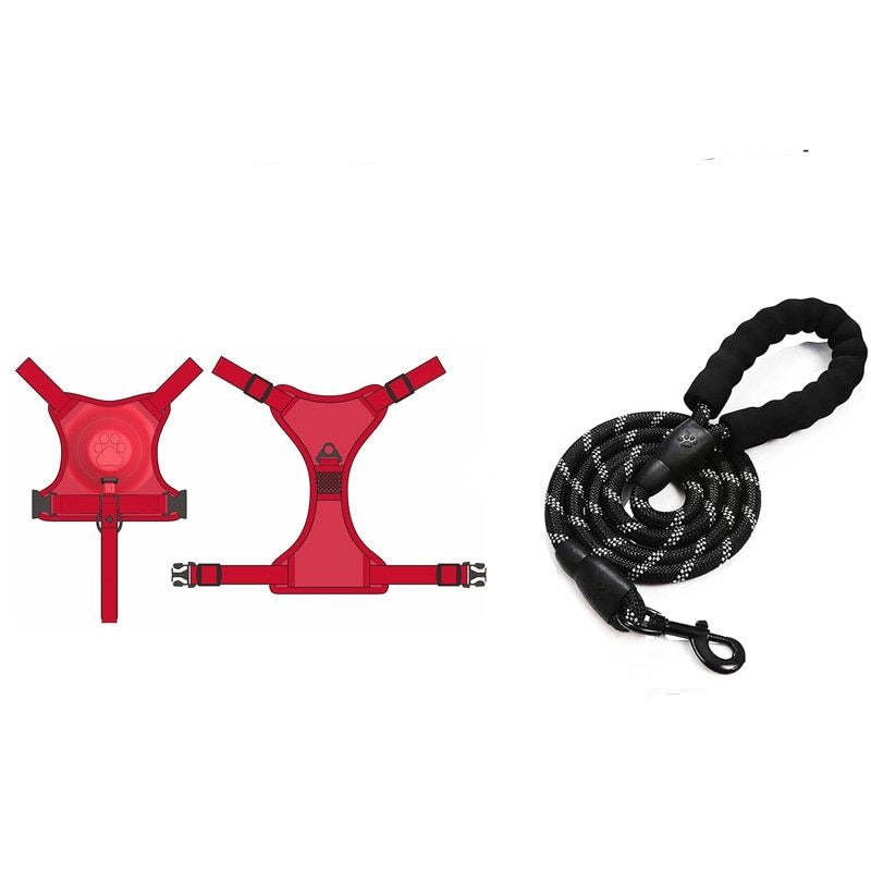 Pet Harness And Leash Set - Grafton Collection