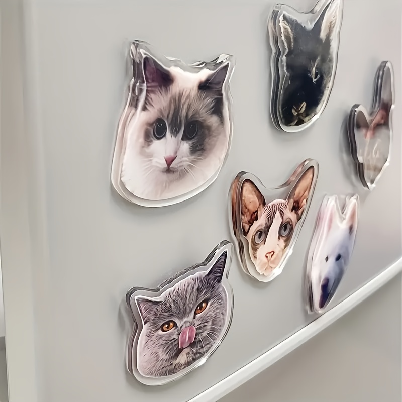 Personalized Acrylic Fridge Magnets with Pet Photos