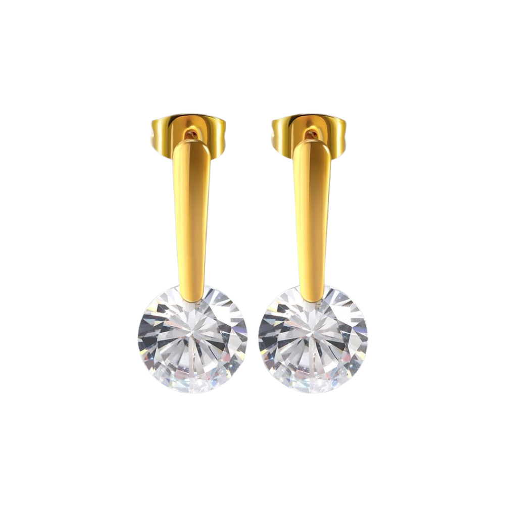 Round 5 Colors Option Cubic Zirconia Stone Dangle Earrings For Women Stainless Steel Drop Earrings Birthday Gift-Customized Jewel