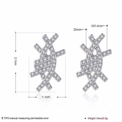Solid 925 Sterling Silver Stud Earring Irregular Design Cubic Zirconia Party Jewelry Earrings For Women-Customized Jewel