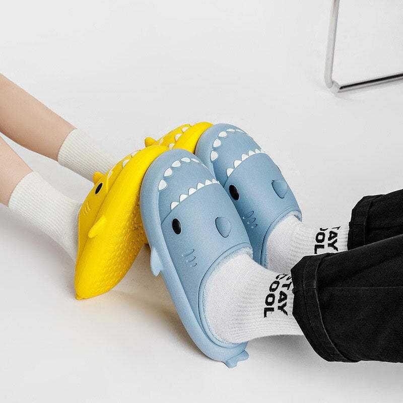 Fuzzy Shark Winter Slides