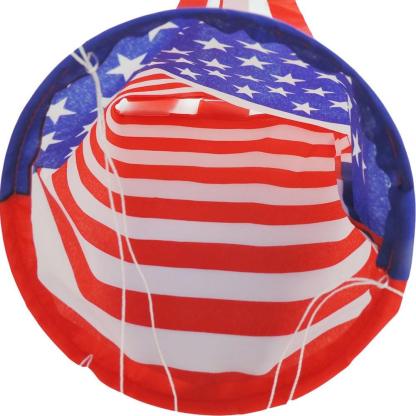American Windsock Flag-Globe Flags