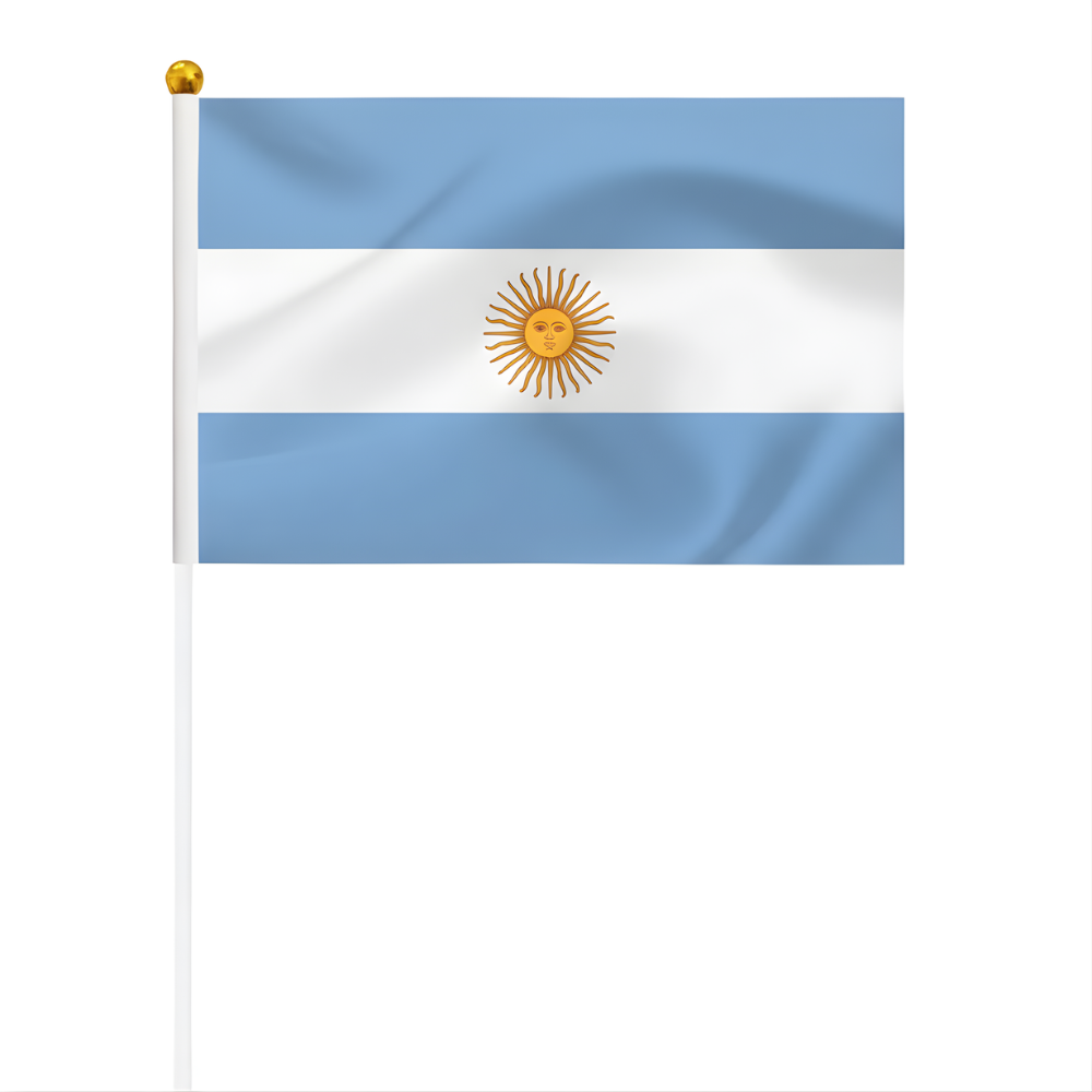 10 Pieces Of Official FIFA 2026 Argentina Mini Flags
