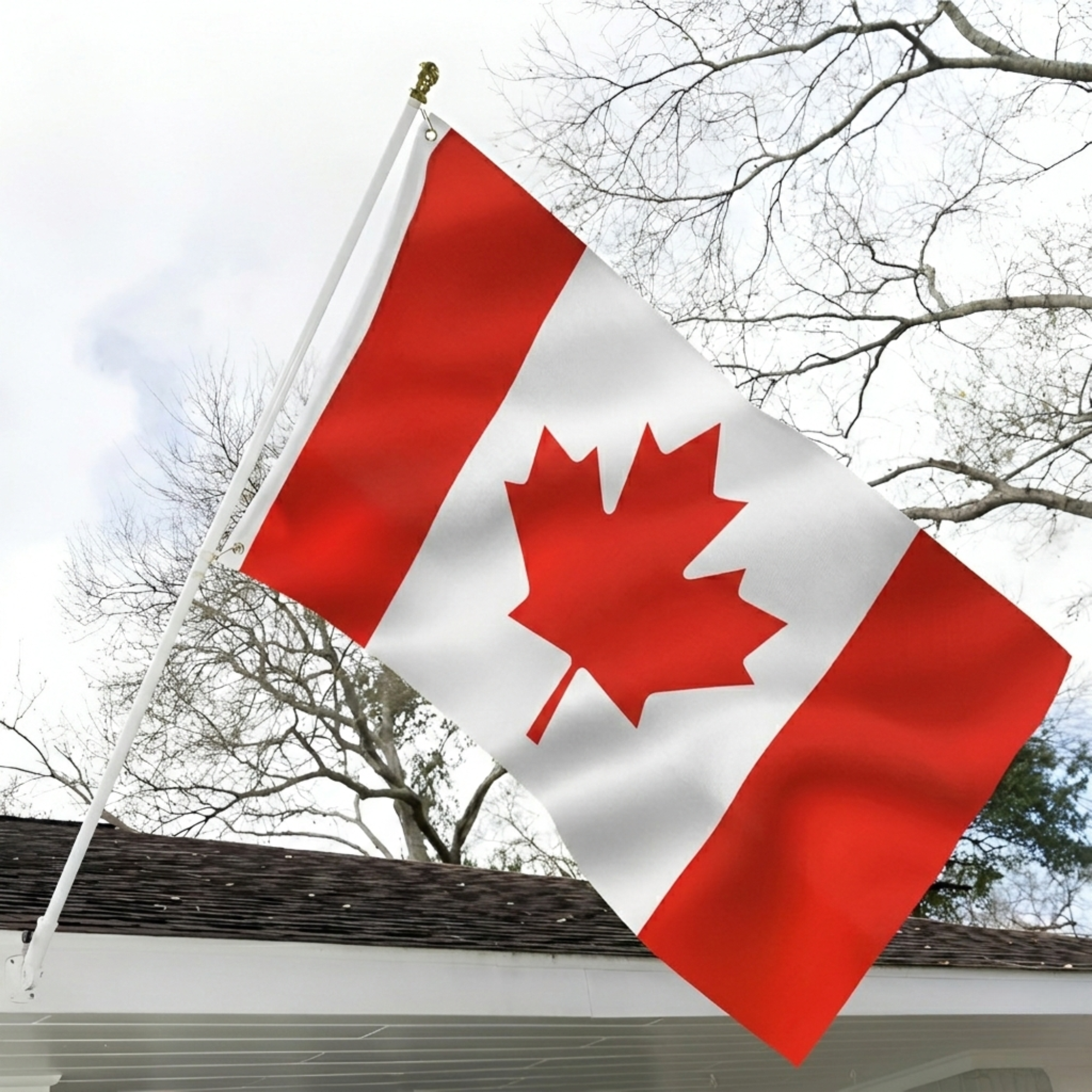 Official FIFA 2026 Canada Flag