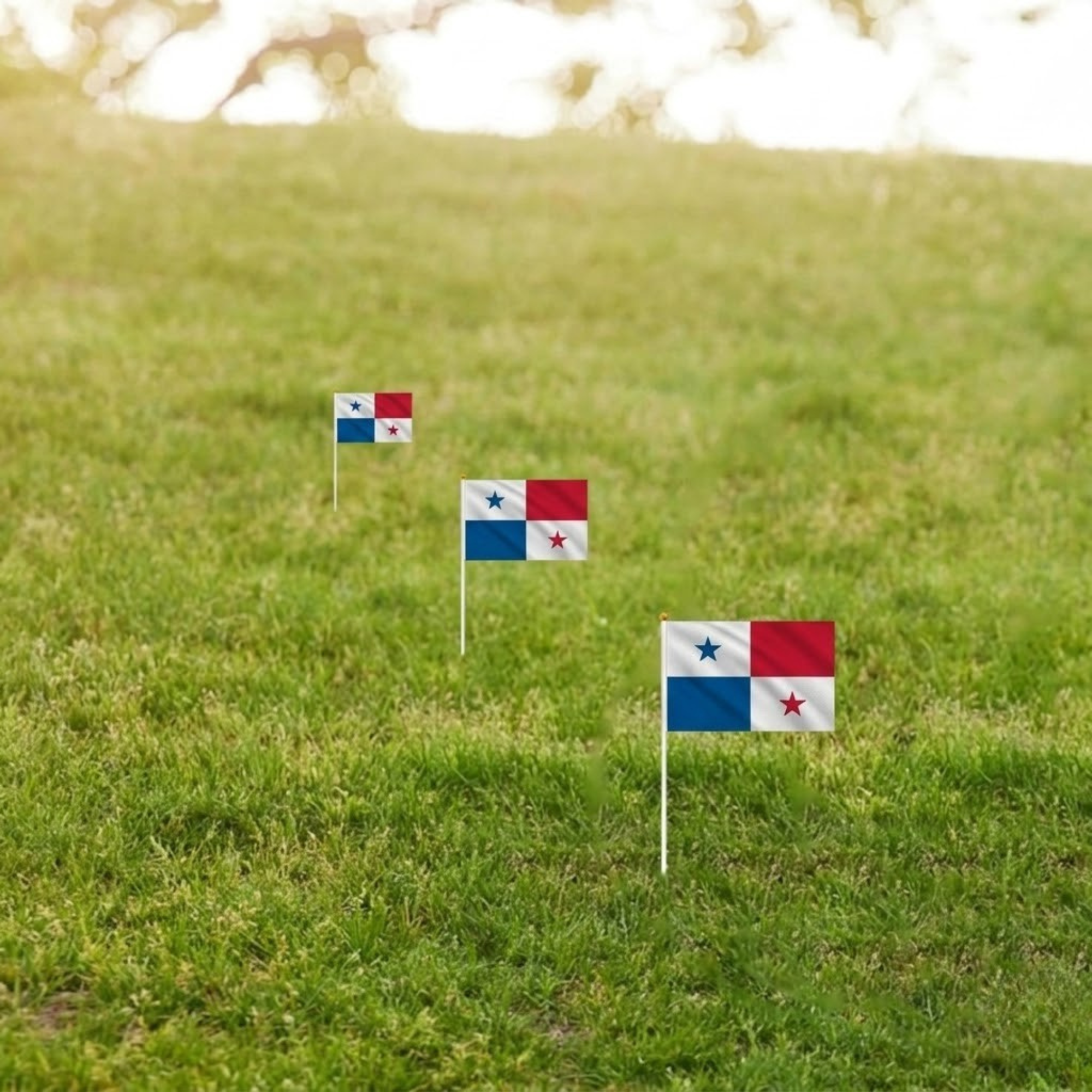 10 Pieces Of Official FIFA 2026 Panama Mini Flags