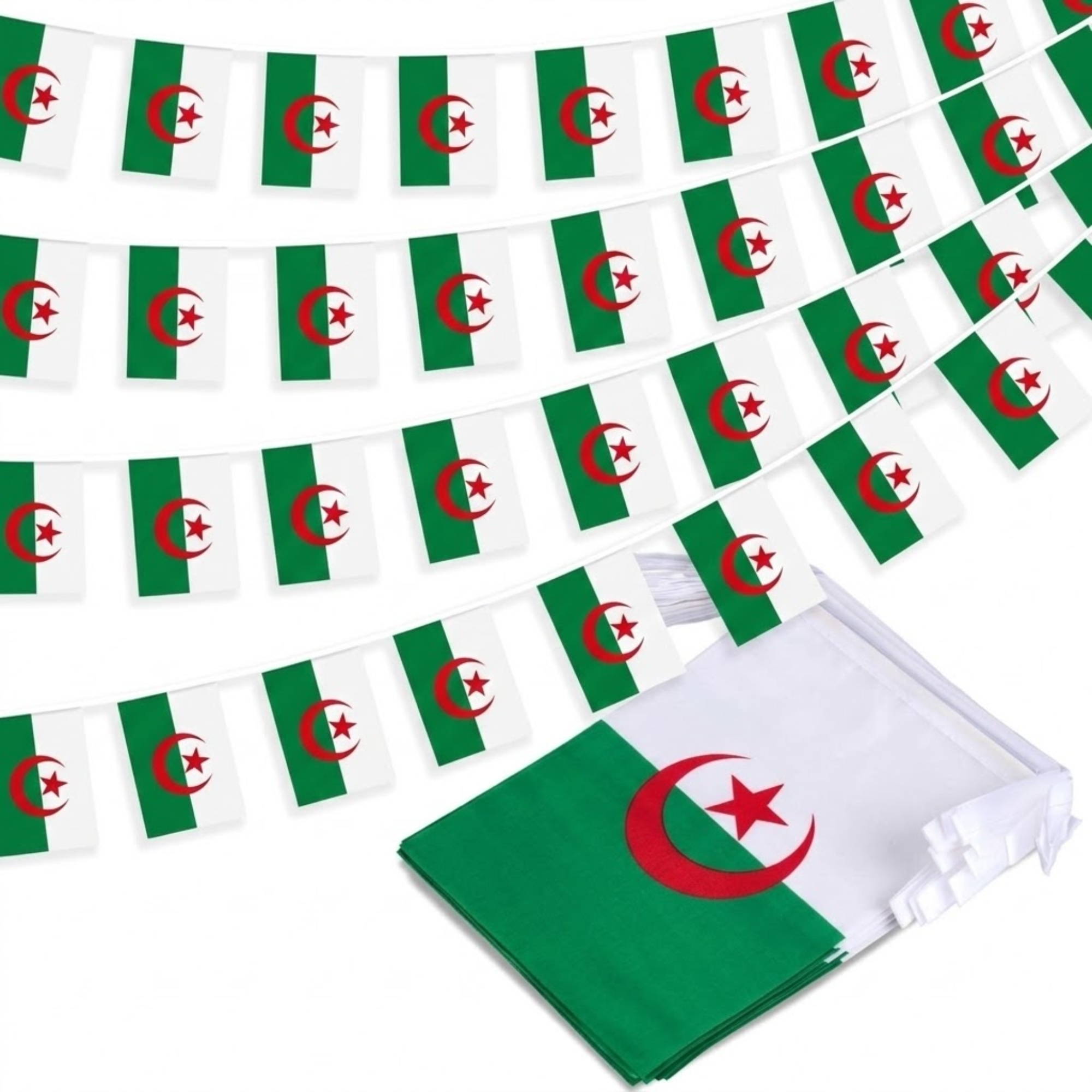 Official FIFA 2026 Algeria Flag Banner