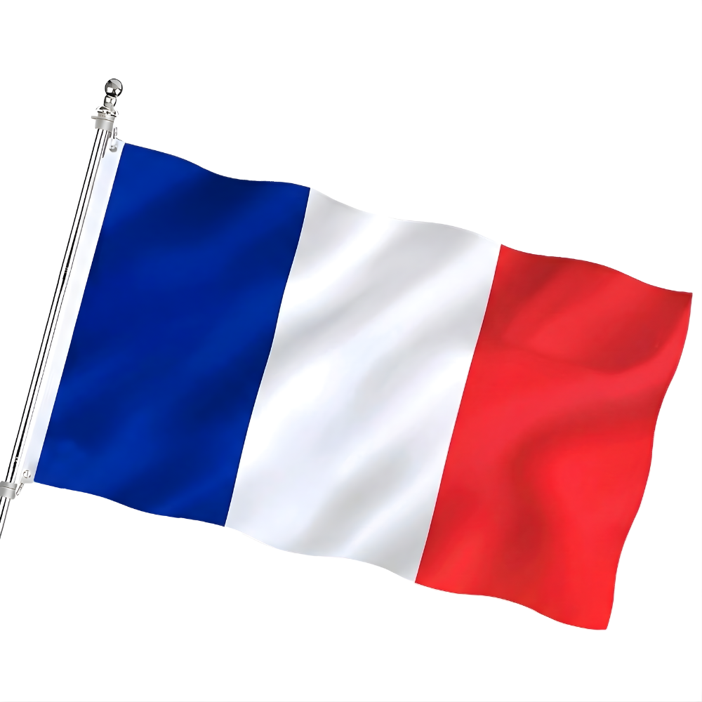 Official FIFA 2026 France Flag