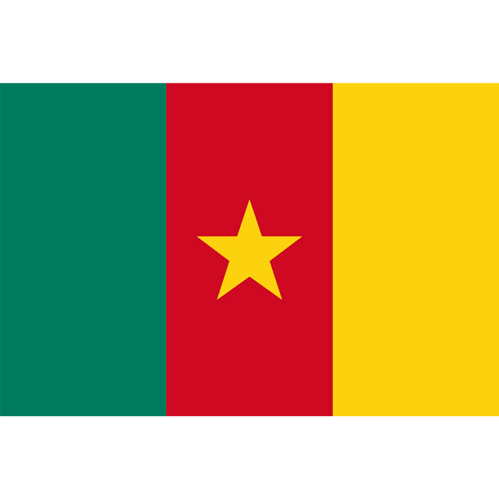 Cameroon National Flag - front view on white background