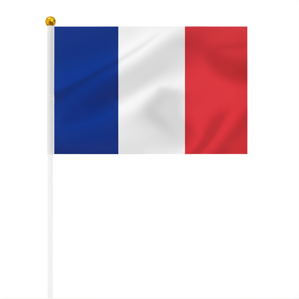 10 Pieces Of Official FIFA 2026 France Mini Flags