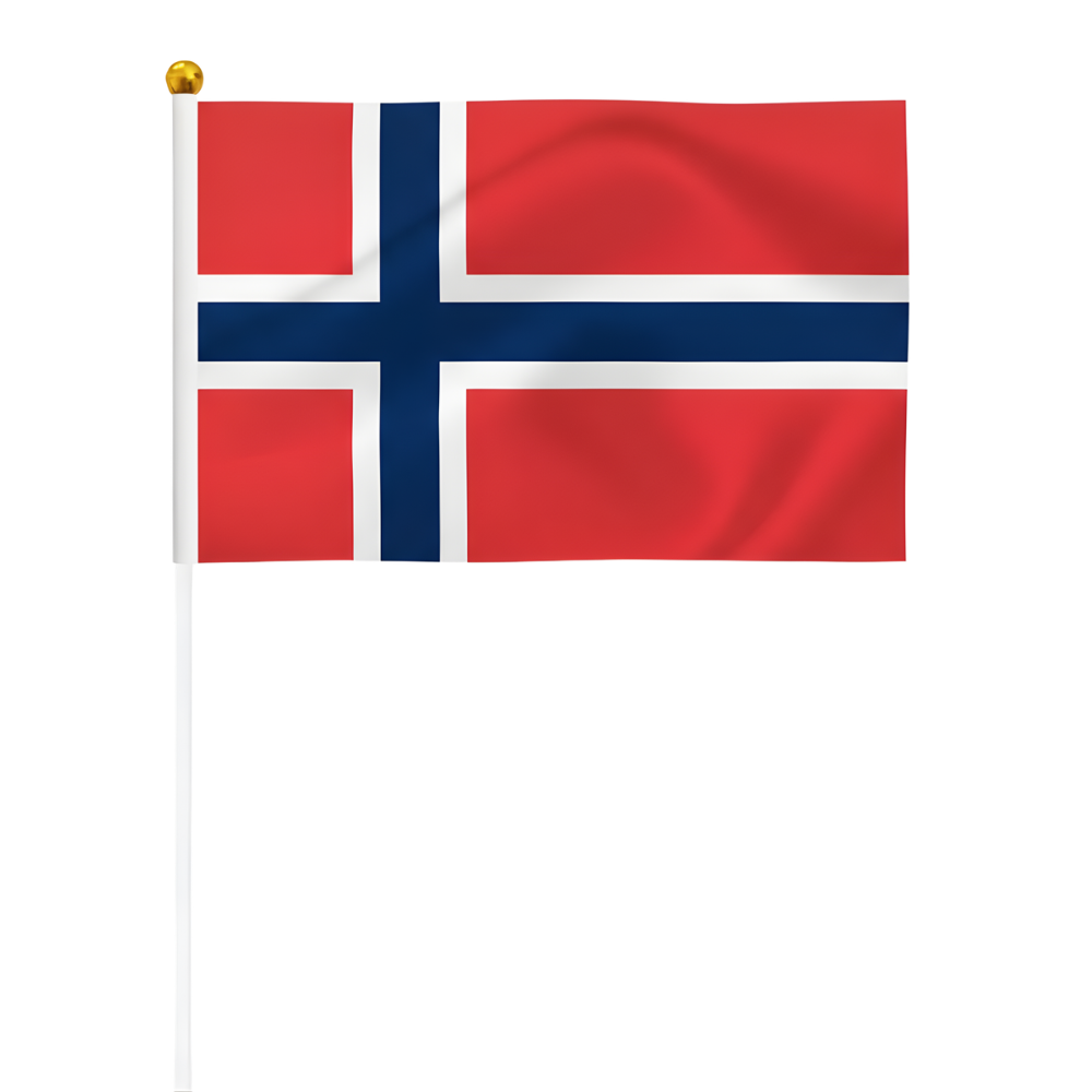 10 Pieces Of Official FIFA 2026 Norway Mini Flags