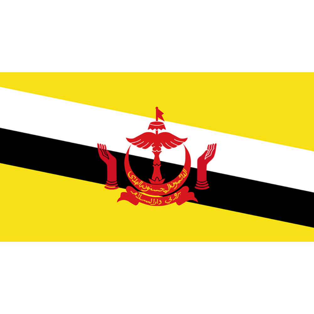 Brunei National Flag Display-Globe Flags