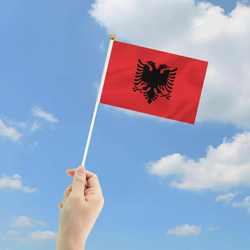 10 Pieces Of Official FIFA 2026 Albania Mini Flags