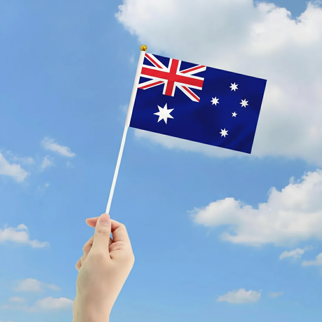 10 Pieces Of Official FIFA 2026 Australia Mini Flags