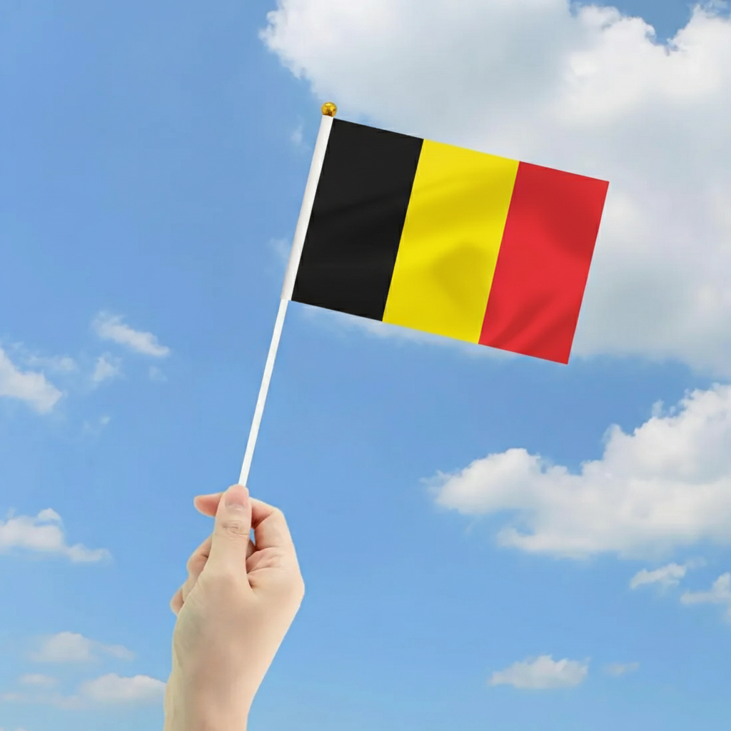 10 Pieces Of Official FIFA 2026 Belgium Mini Flags