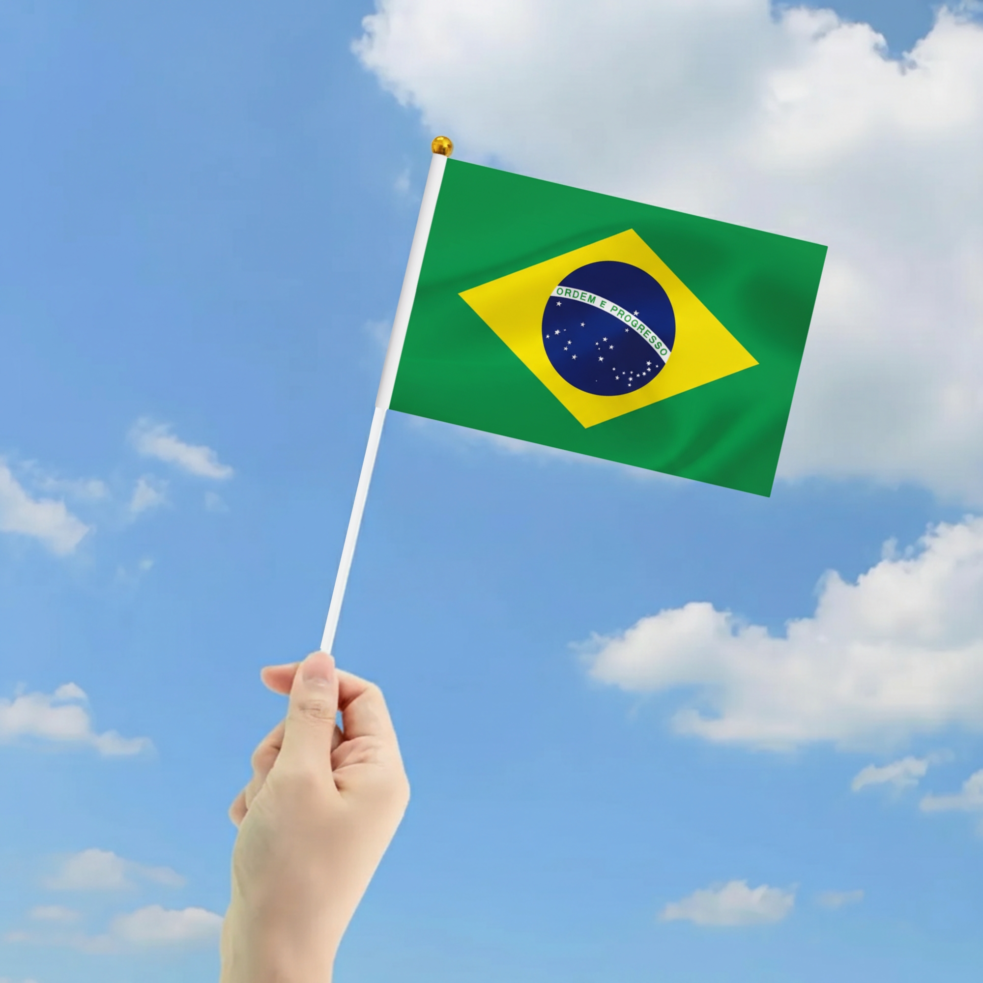 10 Pieces Of FIFA 2026 Brazil Mini Flag - displayed outdoors on flagpole