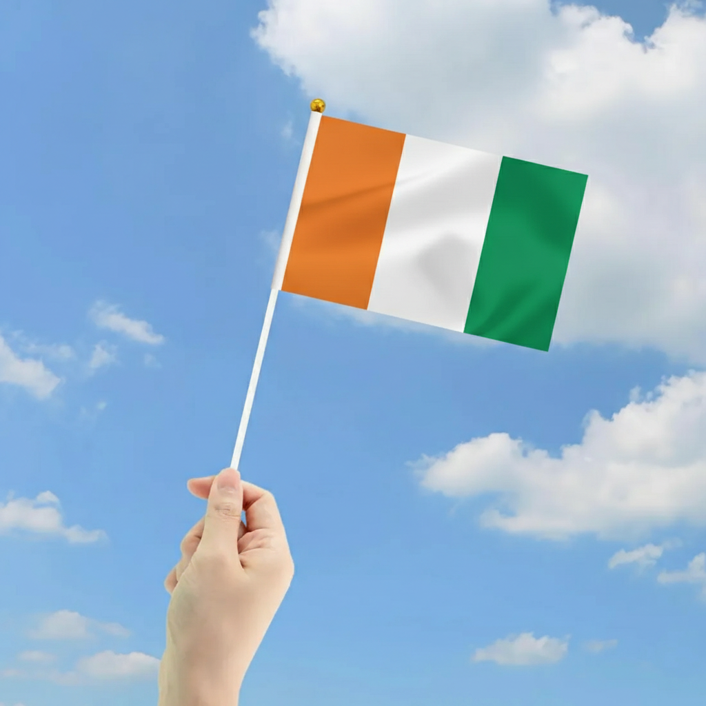 10 Pieces Of Official FIFA 2026 Côte d'Ivoire Mini Flags
