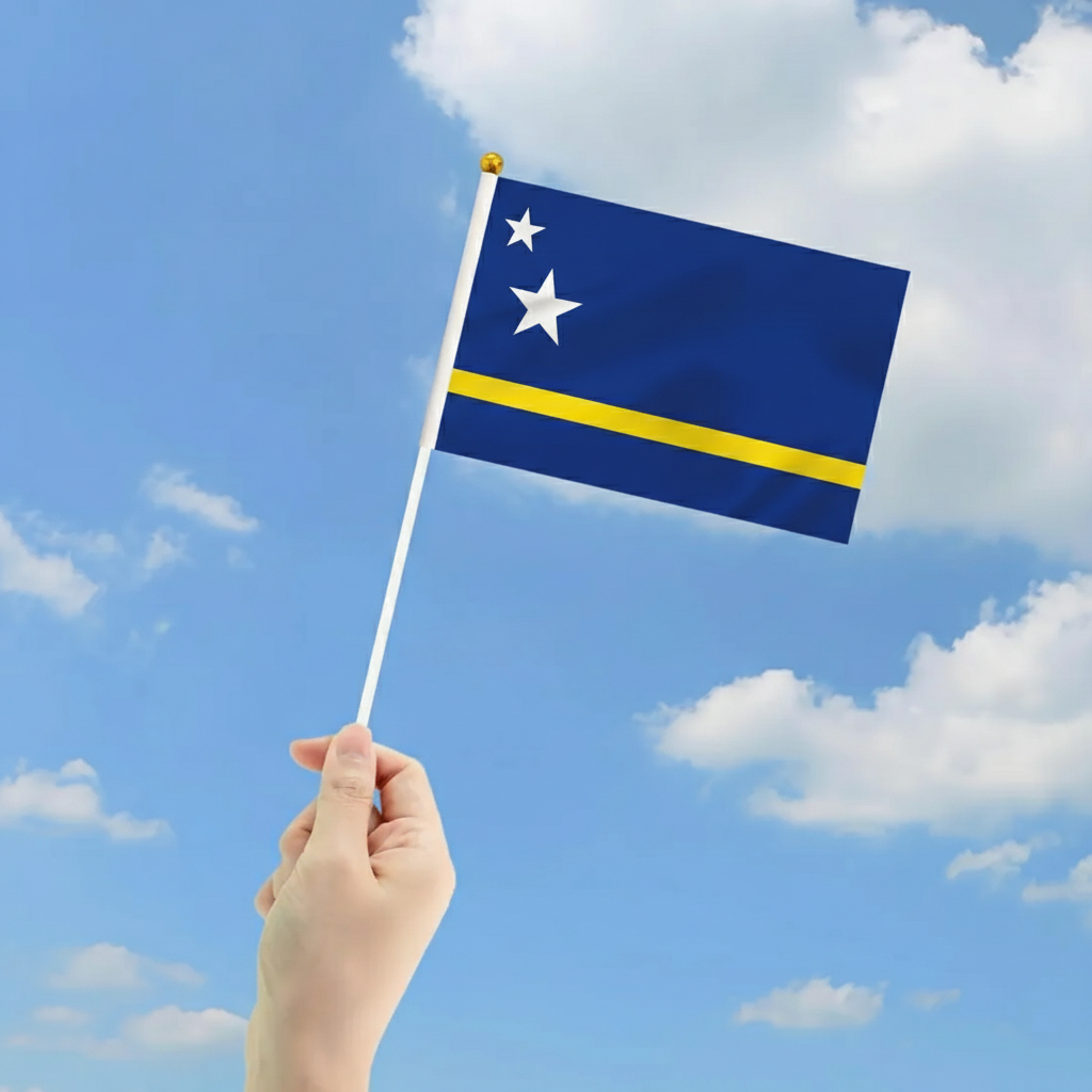 10 Pieces Of Official FIFA 2026 Curaçao Mini Flags