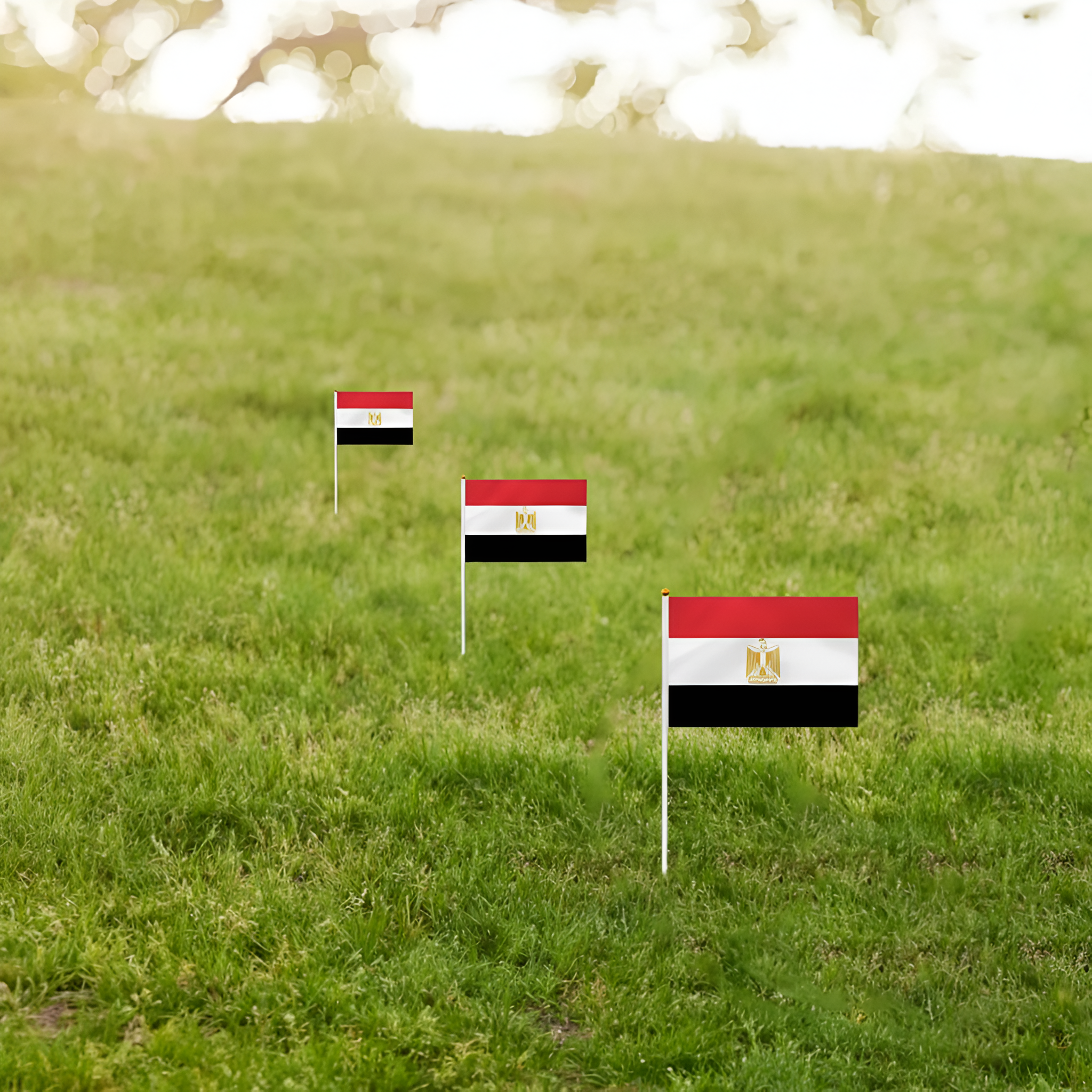 10 Pieces Of Official FIFA 2026 Egypt Mini Flags