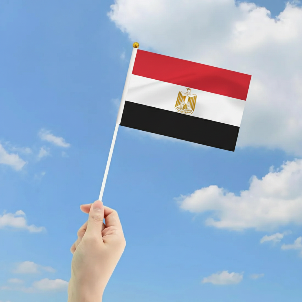 10 Pieces Of Official FIFA 2026 Egypt Mini Flags