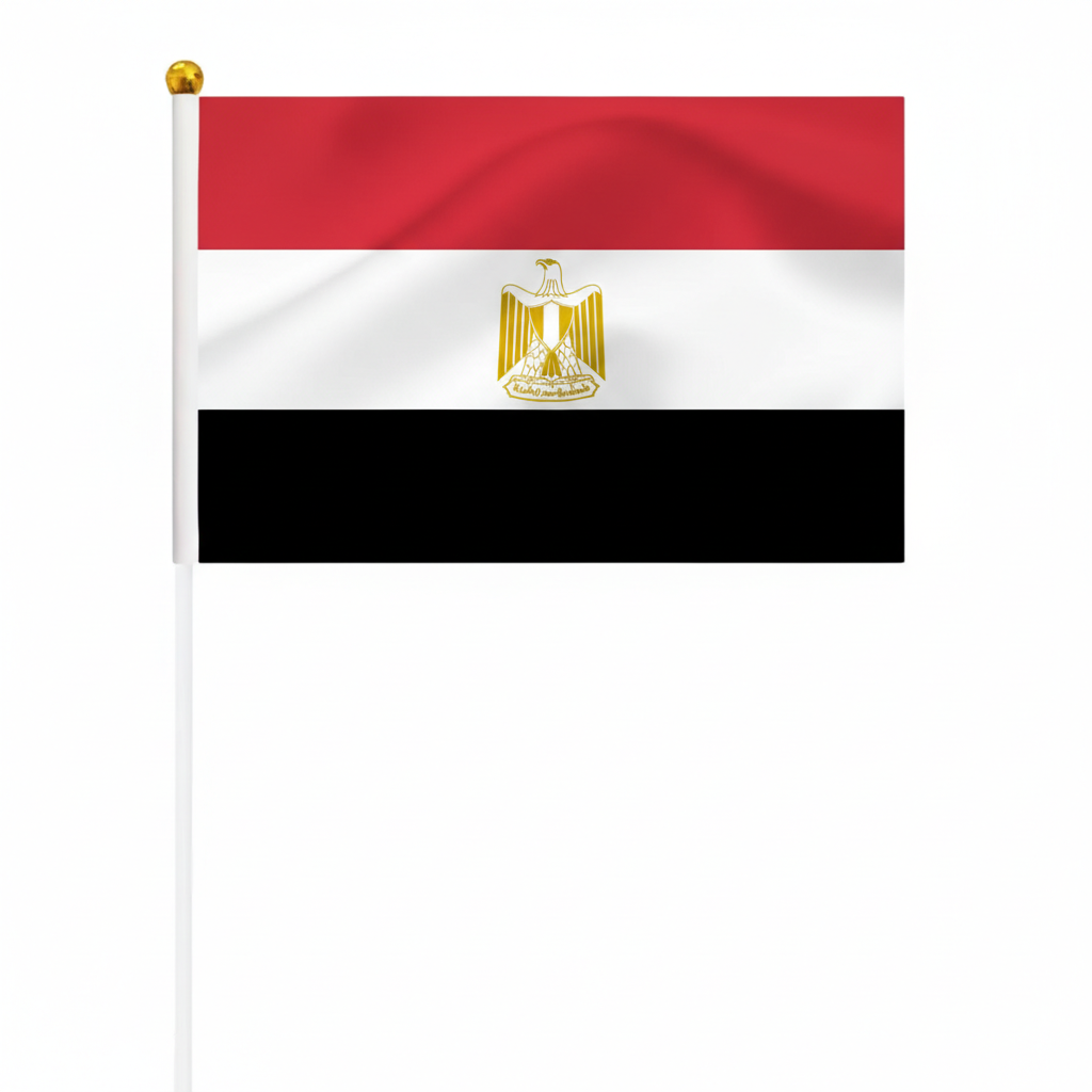 10 Pieces Of Official FIFA 2026 Egypt Mini Flags