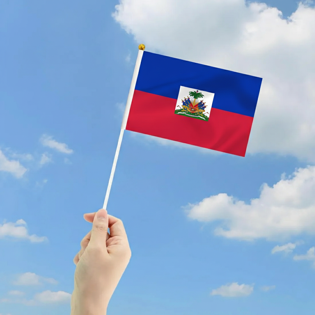 10 Pieces Of Official FIFA 2026 Haiti Mini Flags