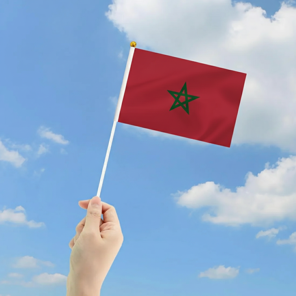10 Pieces Of Official FIFA 2026 Morocco Mini Flags