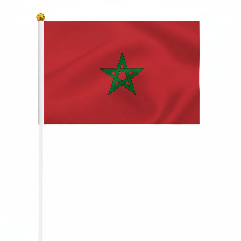 10 Pieces Of Official FIFA 2026 Morocco Mini Flags
