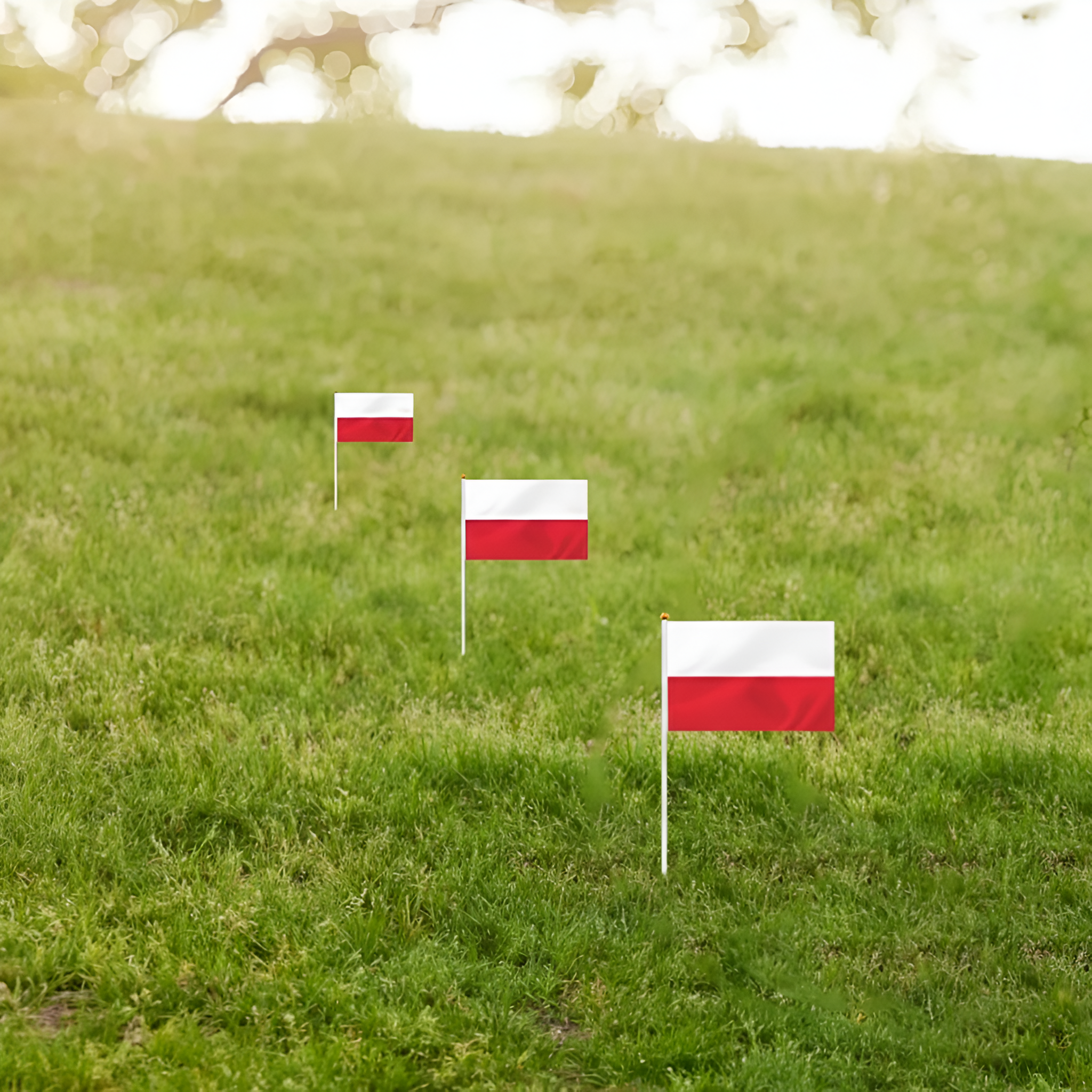 10 Pieces Of Official FIFA 2026 Poland Mini Flags