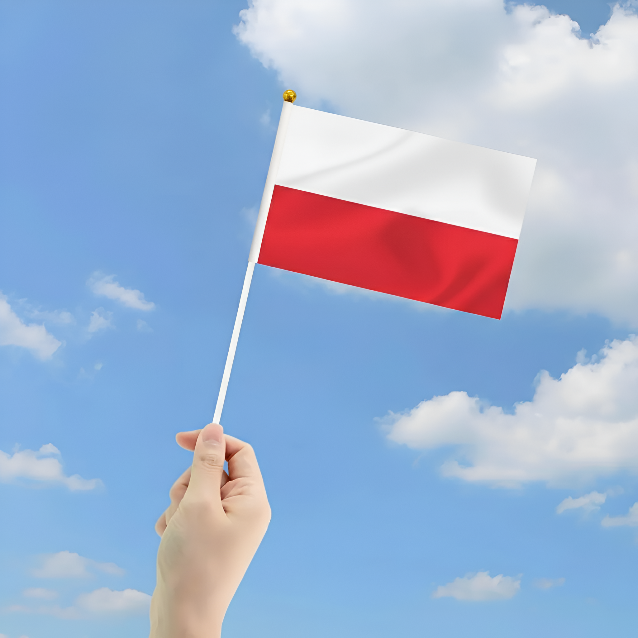 10 Pieces Of Official FIFA 2026 Poland Mini Flags