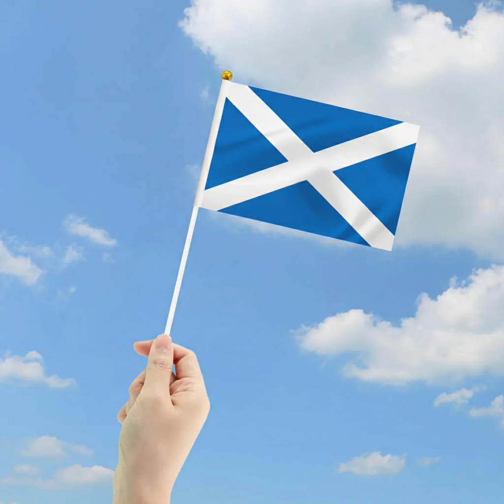 10 Pieces Of Official FIFA 2026 Scotland Mini Flags