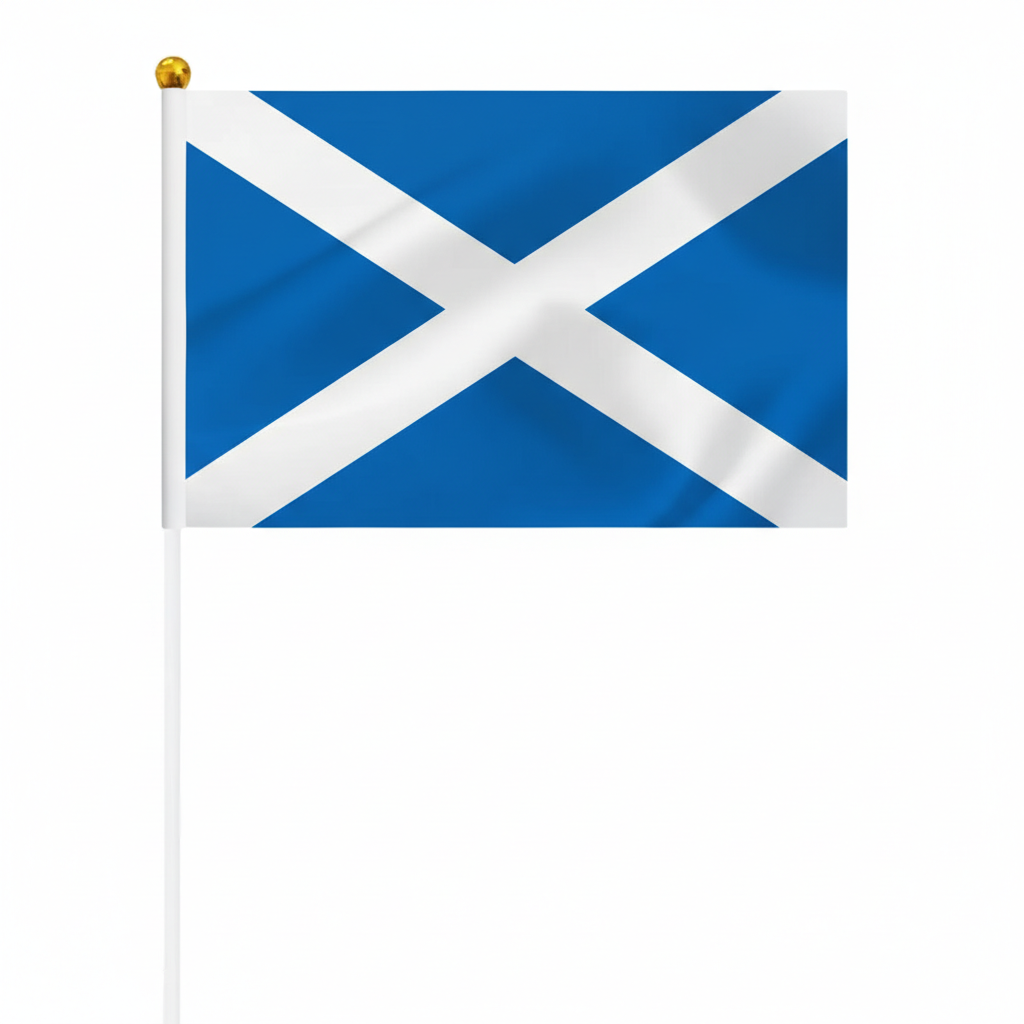 10 Pieces Of Official FIFA 2026 Scotland Mini Flags