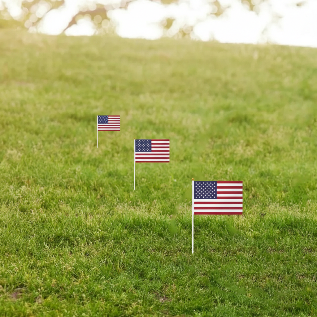 10 Pieces Of Official FIFA 2026 United States Mini Flags