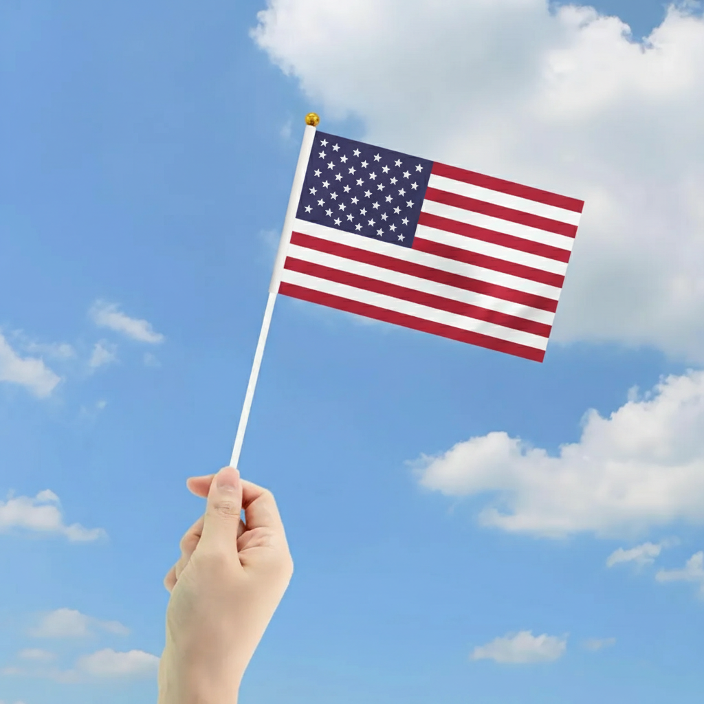 10 Pieces Of Official FIFA 2026 United States Mini Flags