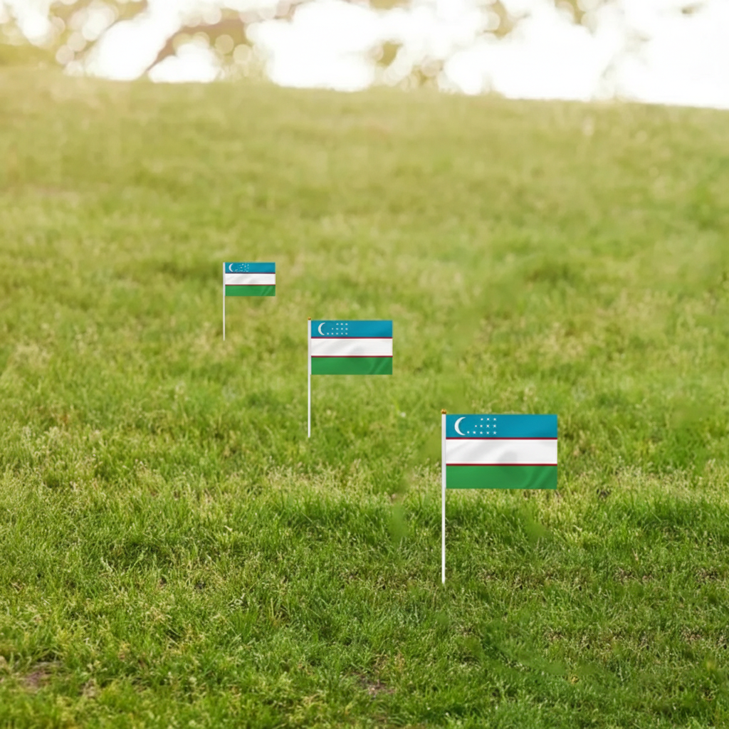 10 Pieces Of Official FIFA 2026 Uzbekistan Mini Flags