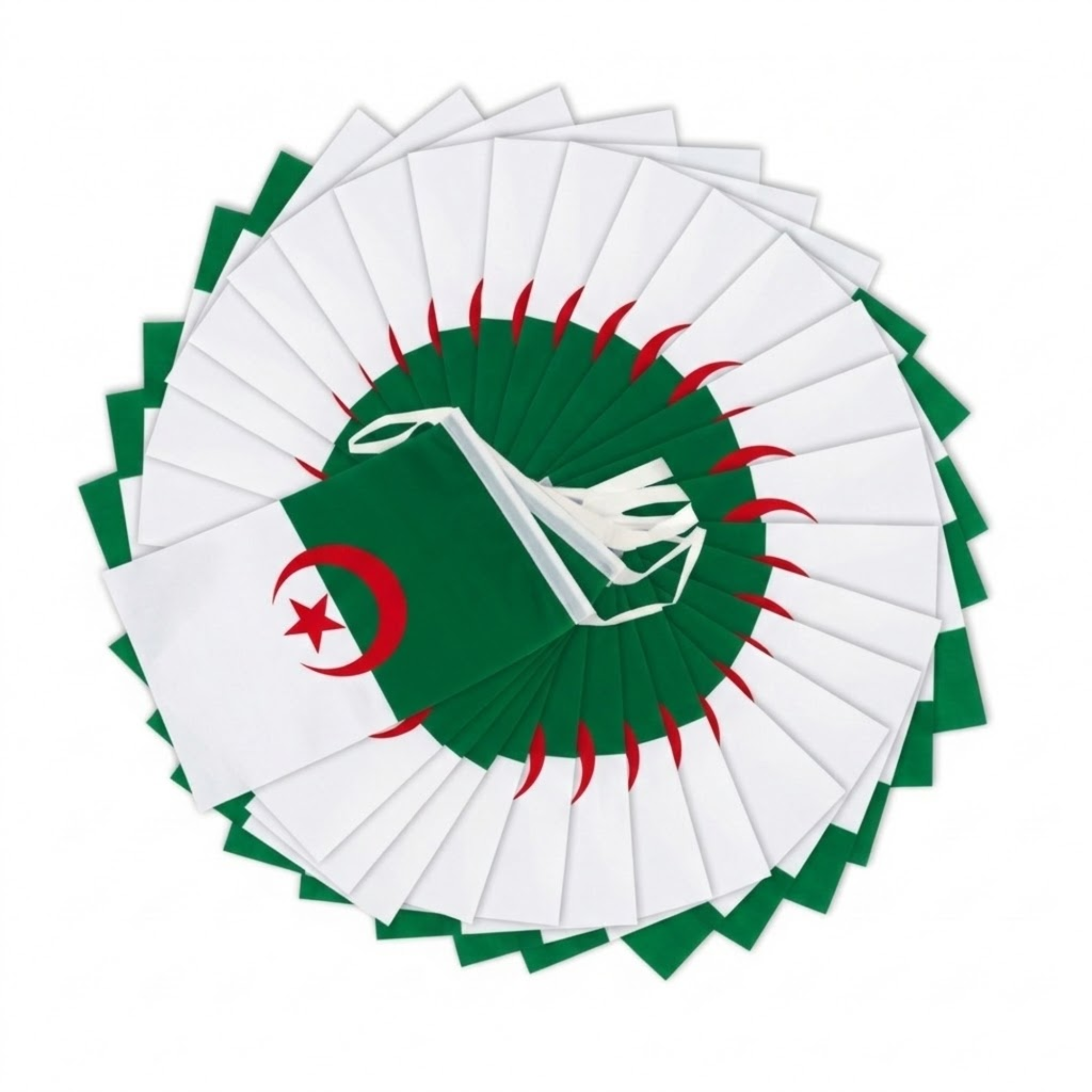 Official FIFA 2026 Algeria Flag Banner